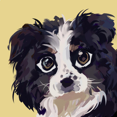 friend's dog friend's dog